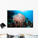 Beautiful Soft Coral Colony Wall Decal Design 3