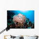 Beautiful Soft Coral Colony Wall Decal Design 3