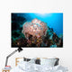 Beautiful Soft Coral Colony Wall Decal Design 3