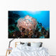 Beautiful Soft Coral Colony Wall Decal Design 3