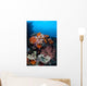 Soft Corals Sponges and Wall Decal Design 3