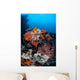 Soft Corals Sponges and Wall Decal Design 3