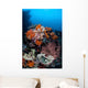 Soft Corals Sponges and Wall Decal Design 3