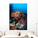Soft Corals Sponges and Wall Decal Design 3