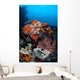 Soft Corals Sponges and Wall Decal Design 3
