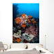 Soft Corals Sponges and Wall Decal Design 3