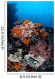 Soft Corals Sponges and Wall Decal Design 3