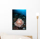 Beautiful Soft Coral Colony Wall Decal Design 2