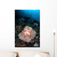 Beautiful Soft Coral Colony Wall Decal Design 2