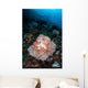Beautiful Soft Coral Colony Wall Decal Design 2