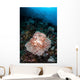 Beautiful Soft Coral Colony Wall Decal Design 2