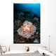 Beautiful Soft Coral Colony Wall Decal Design 2
