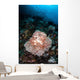 Beautiful Soft Coral Colony Wall Decal Design 2