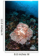 Beautiful Soft Coral Colony Wall Decal Design 2