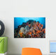 Soft Corals Sponges and Wall Decal Design 2