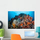 Soft Corals Sponges and Wall Decal Design 2