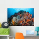 Soft Corals Sponges and Wall Decal Design 2