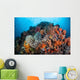 Soft Corals Sponges and Wall Decal Design 2
