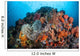 Soft Corals Sponges and Wall Decal Design 2