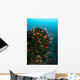 Colorful Reef Fish Wim Wall Decal