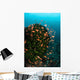 Colorful Reef Fish Wim Wall Decal