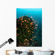 Colorful Reef Fish Wim Wall Decal