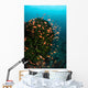 Colorful Reef Fish Wim Wall Decal