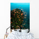 Colorful Reef Fish Wim Wall Decal