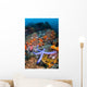 Beautiful Starfish Lays Thriving Wall Decal Design 3