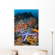 Beautiful Starfish Lays Thriving Wall Decal Design 3