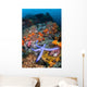 Beautiful Starfish Lays Thriving Wall Decal Design 3