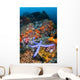 Beautiful Starfish Lays Thriving Wall Decal Design 3