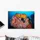 Soft Corals Sponges and Wall Decal Design 1