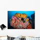 Soft Corals Sponges and Wall Decal Design 1