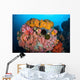 Soft Corals Sponges and Wall Decal Design 1