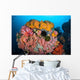 Soft Corals Sponges and Wall Decal Design 1