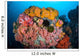 Soft Corals Sponges and Wall Decal Design 1