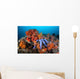 Beautiful Starfish Lays Thriving Wall Decal Design 2
