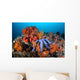 Beautiful Starfish Lays Thriving Wall Decal Design 2