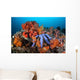 Beautiful Starfish Lays Thriving Wall Decal Design 2