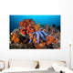 Beautiful Starfish Lays Thriving Wall Decal Design 2