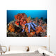Beautiful Starfish Lays Thriving Wall Decal Design 2