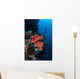 Beautiful Soft Coral Colony Wall Decal Design 1