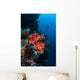 Beautiful Soft Coral Colony Wall Decal Design 1