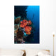 Beautiful Soft Coral Colony Wall Decal Design 1