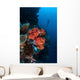Beautiful Soft Coral Colony Wall Decal Design 1