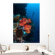 Beautiful Soft Coral Colony Wall Decal Design 1