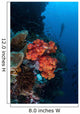 Beautiful Soft Coral Colony Wall Decal Design 1