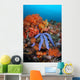 Beautiful Starfish Lays Thriving Wall Decal Design 1