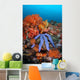 Beautiful Starfish Lays Thriving Wall Decal Design 1